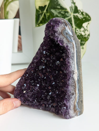 Amethyst Druse AA-Qualität aus Uruguay