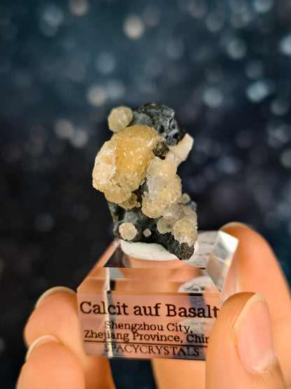 Botryoidaler Calcit auf Basalt - Neuer Fund (klein)