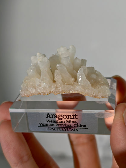 Koralliger Aragonit - Wenshan Mine