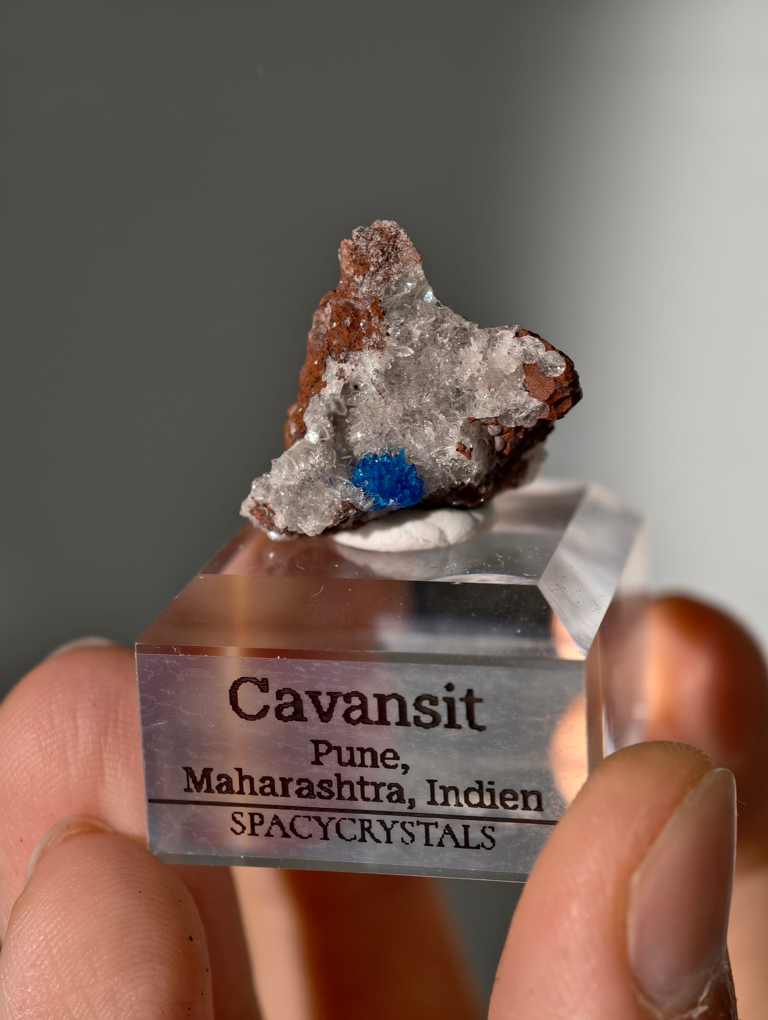 Cavansite aus Indien in Matrix