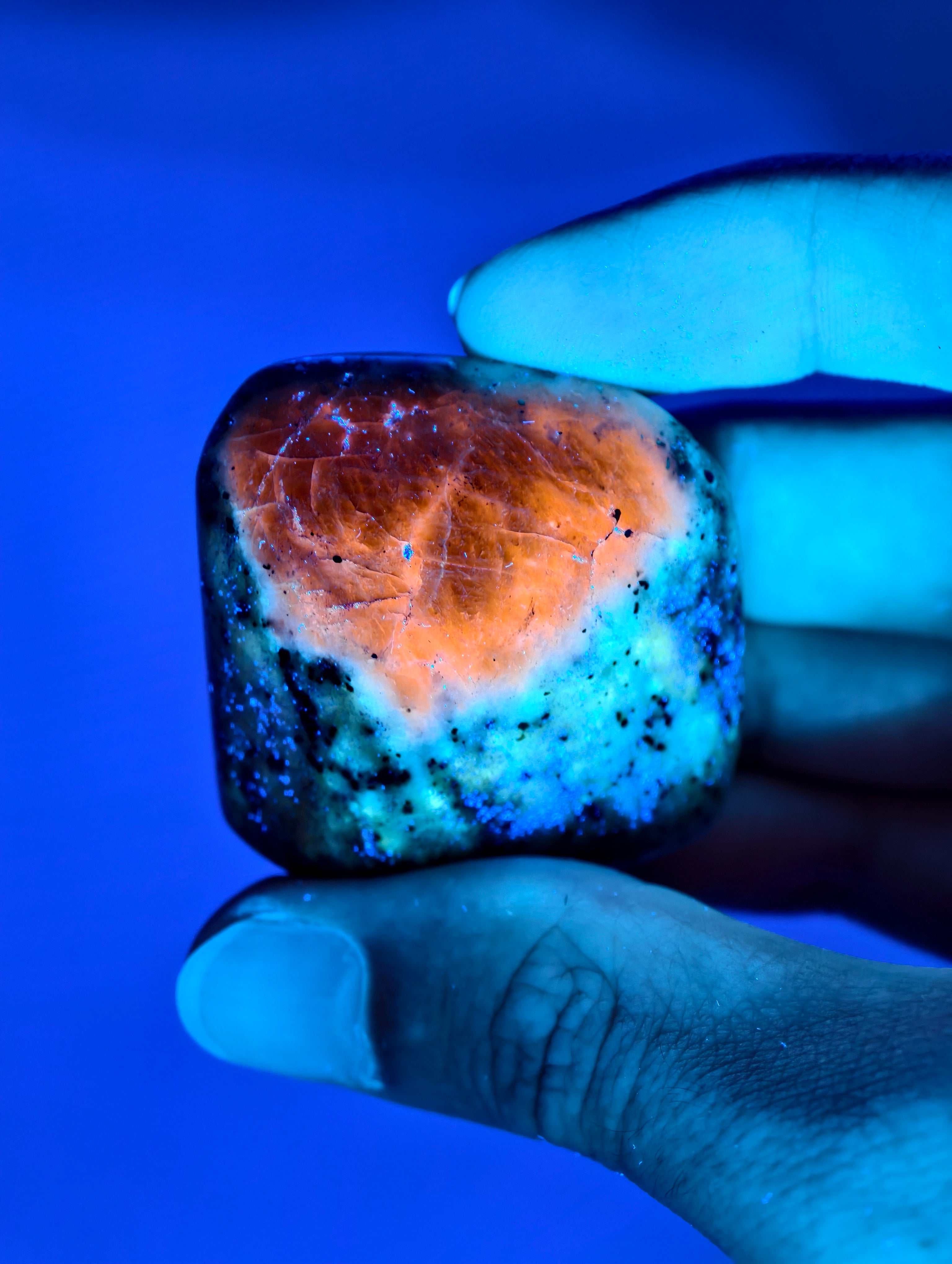 Seltene Haüyn Sodalith Mix Freiform (UV Aktiv!)