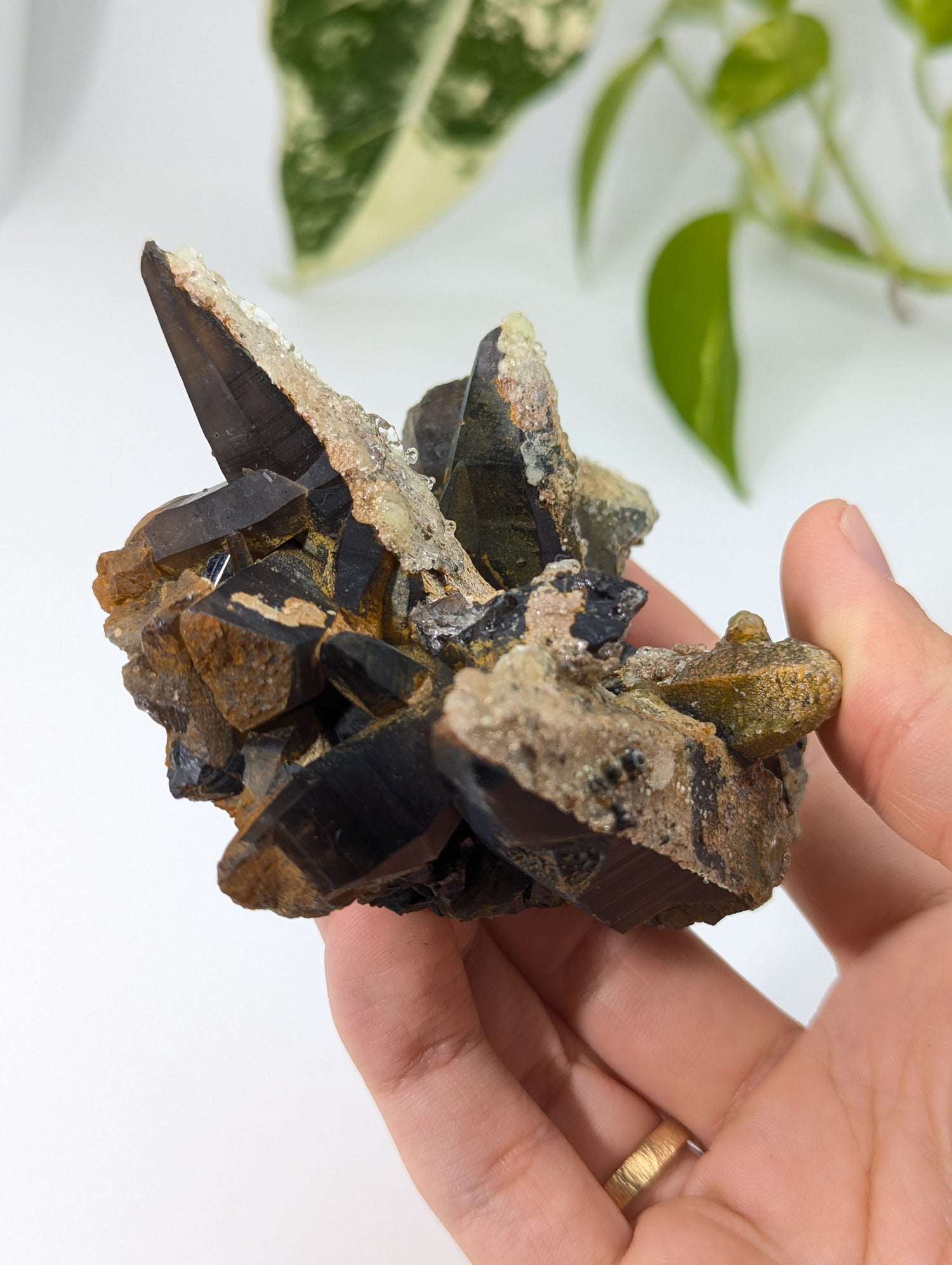 Rauchquarz Cluster mit UV-Aktivem Hyalit Opal Erongo Namibia