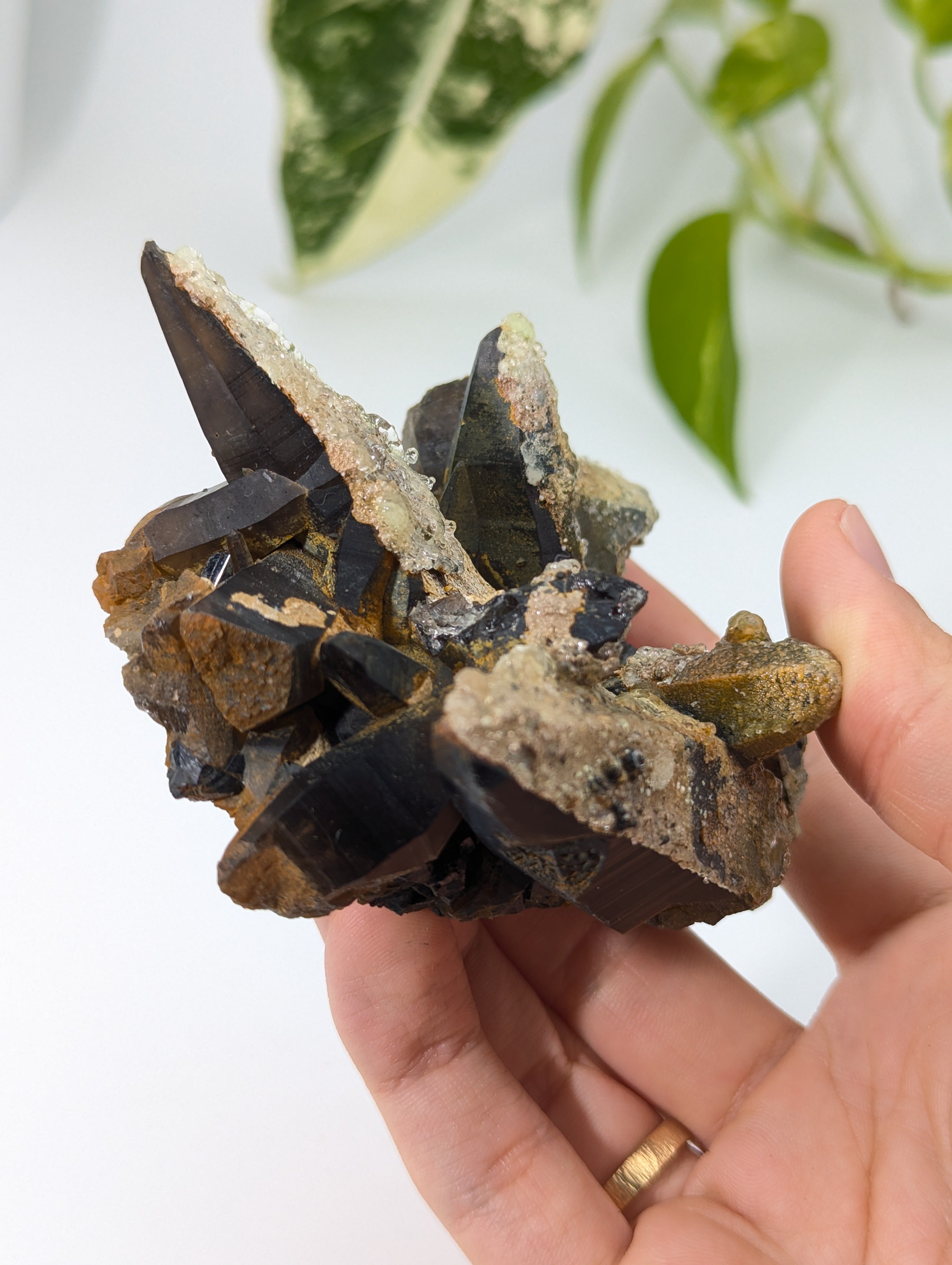 Rauchquarz Cluster mit UV-Aktivem Hyalit Opal Erongo Namibia