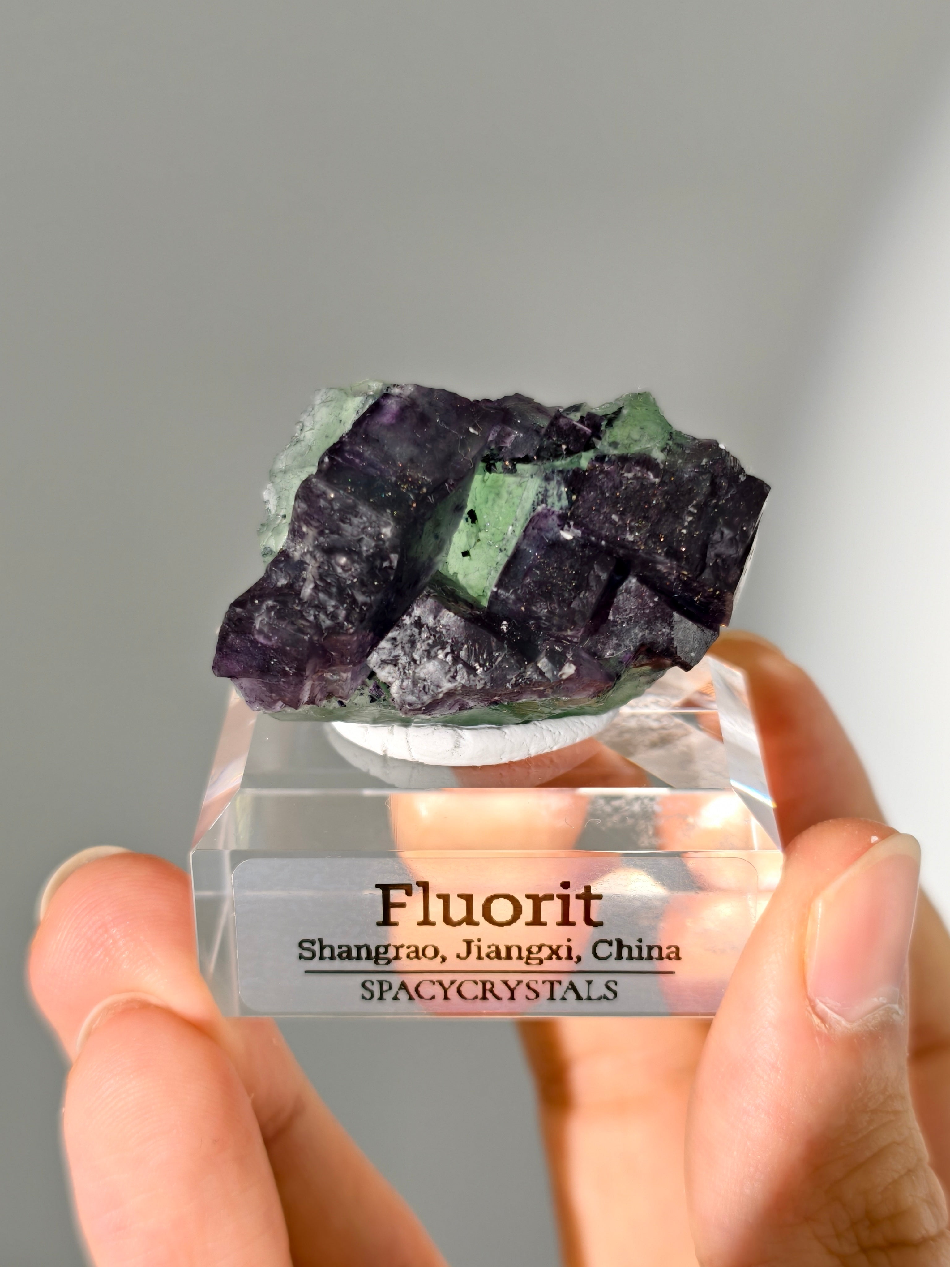Shangrao Fluorit mit Pyrit: grüner Oktaeder mit lila Würfeln, Neufund!