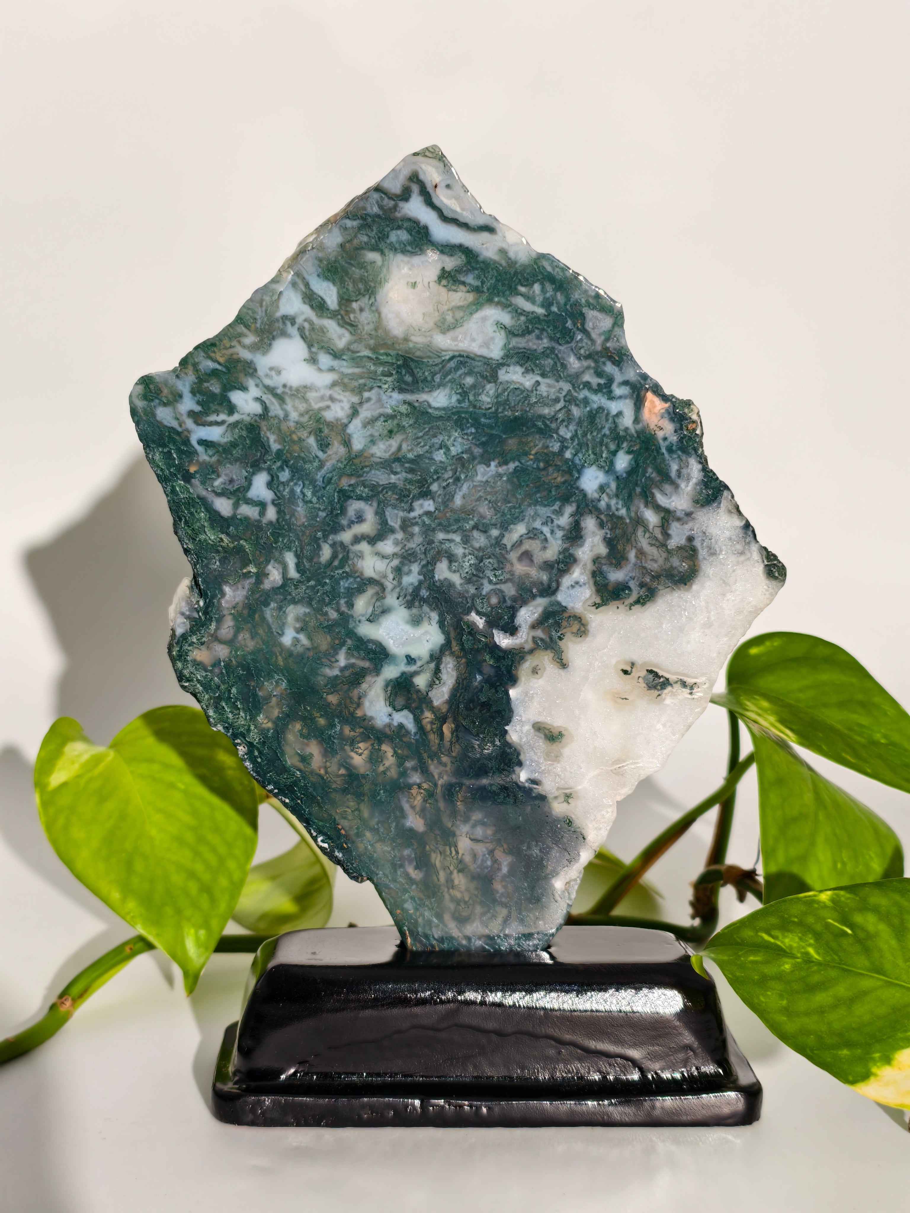 Moosachat Platte auf Holzsockel