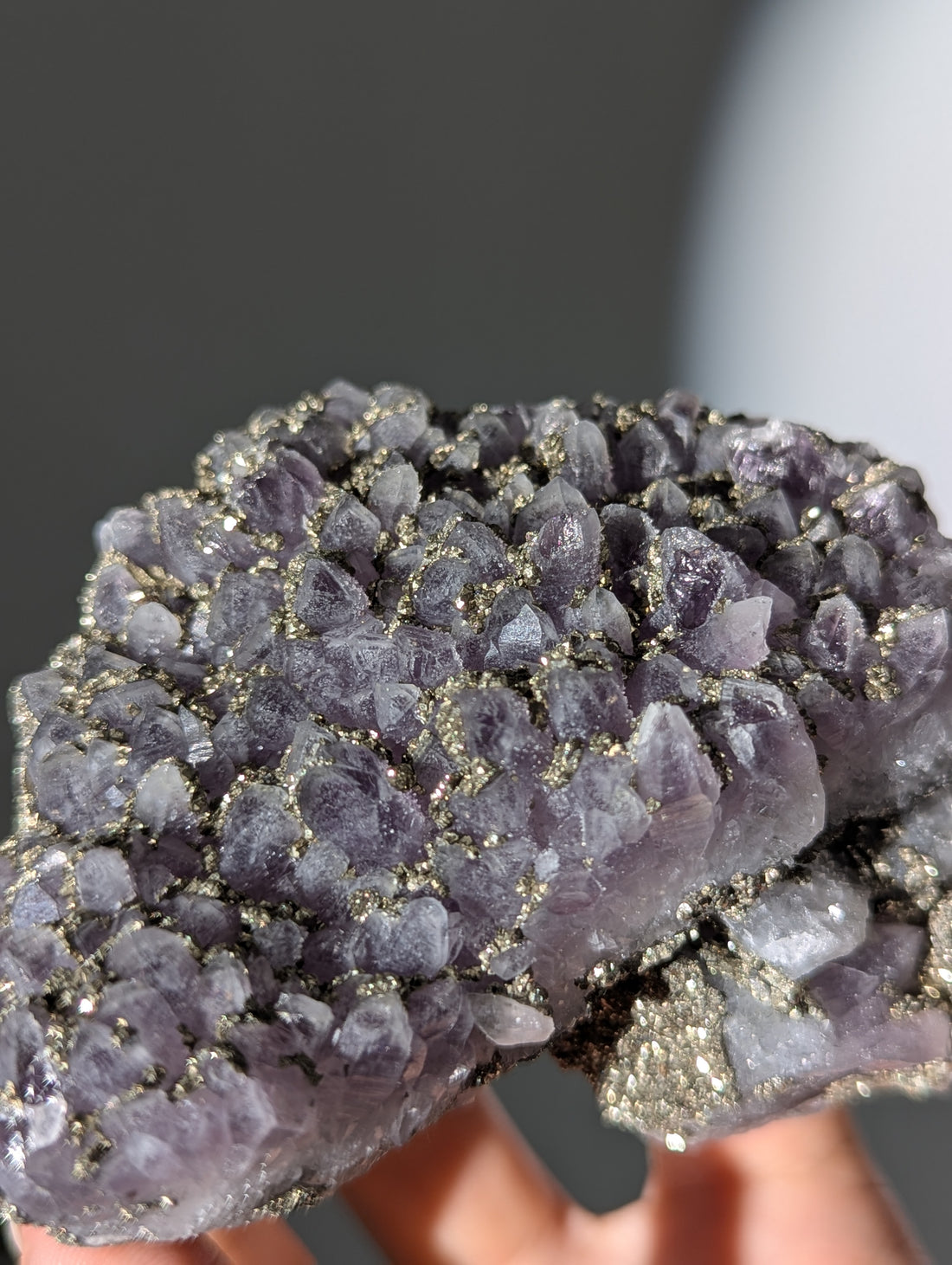 Pyrit auf Amethyst aus Bulgarien ✨