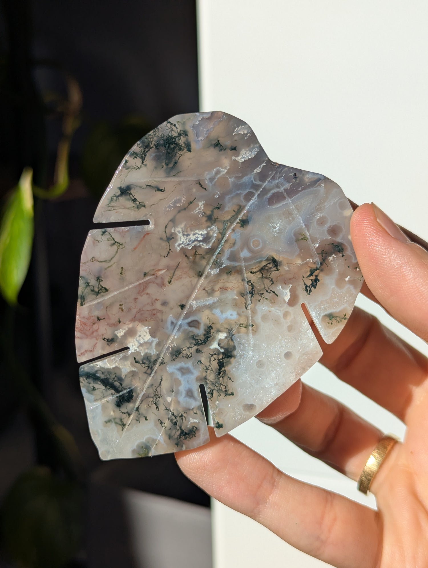 Moosachat Monstera Blatt (wähle dein eigenes)