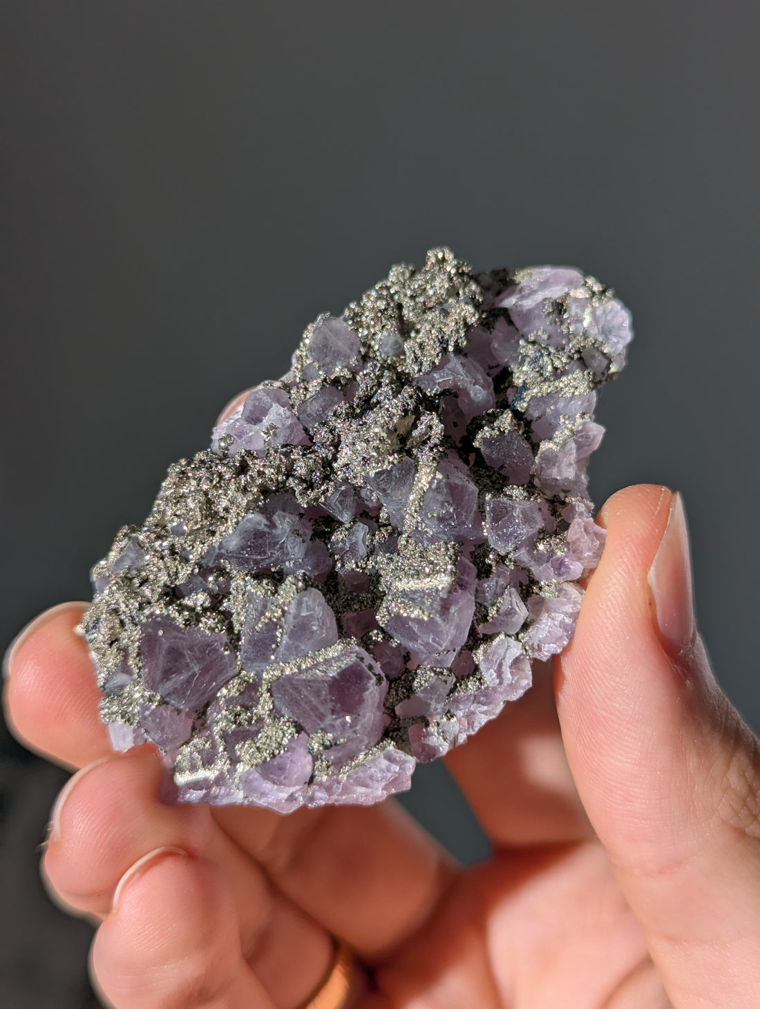 Pyrit auf Amethyst aus Bulgarien ✨