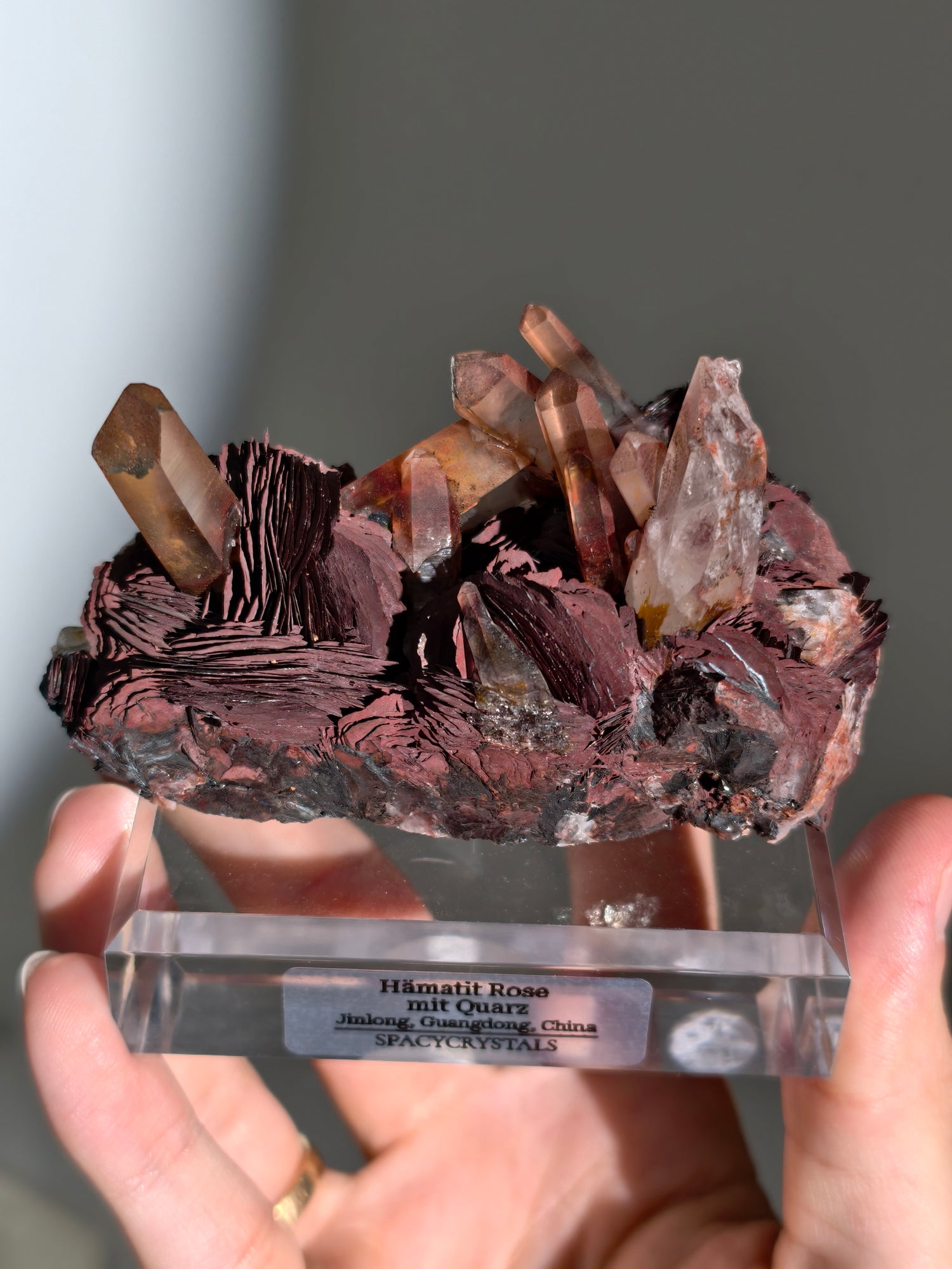 Rote Hämatit Rose mit Hämatitquarz aus Jinlong