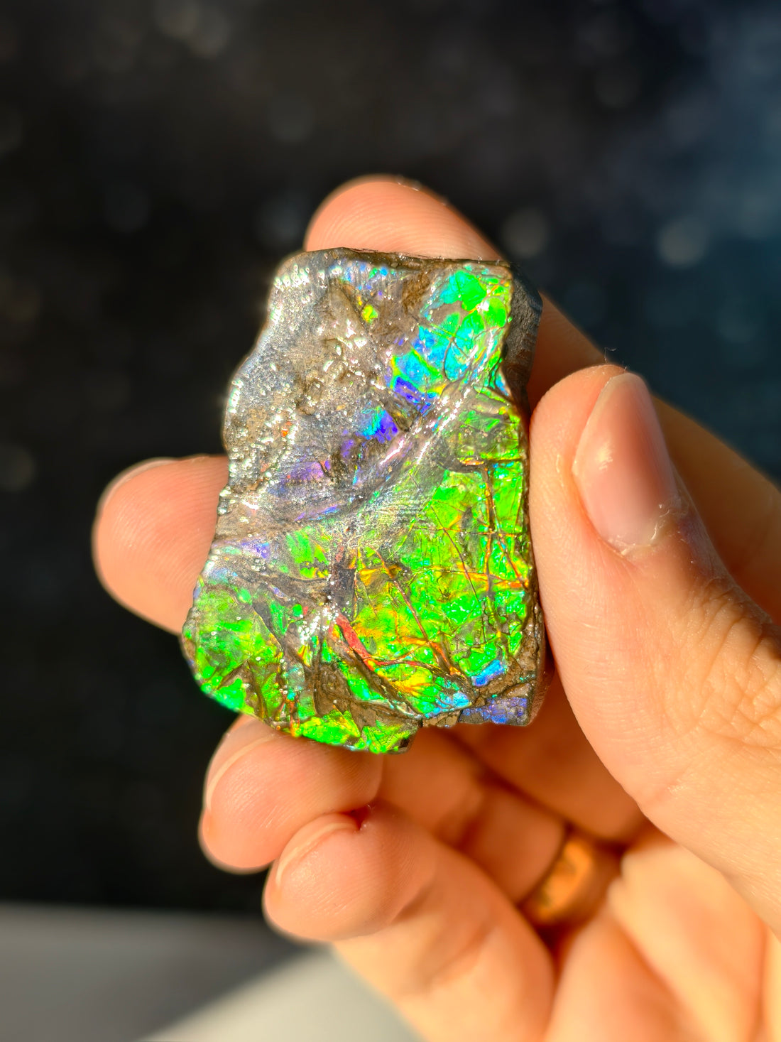 Ammolit Stück aus Kanada