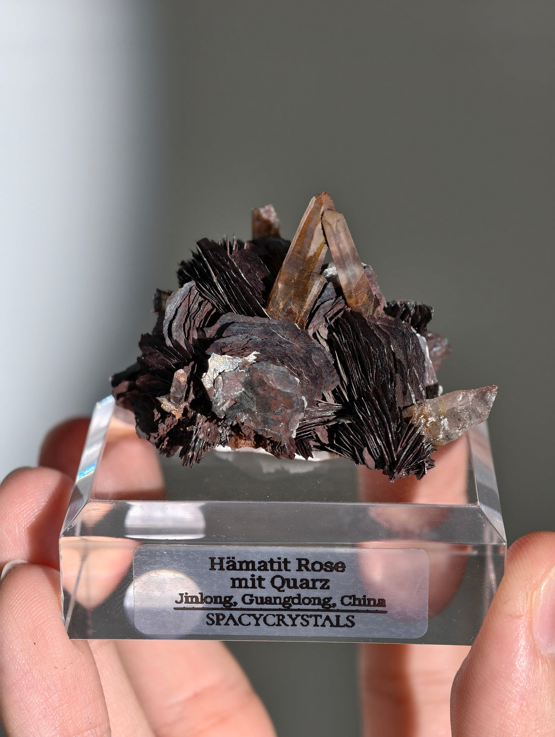 Rote Hämatit Rose mit Hämatitquarz aus Jinlong