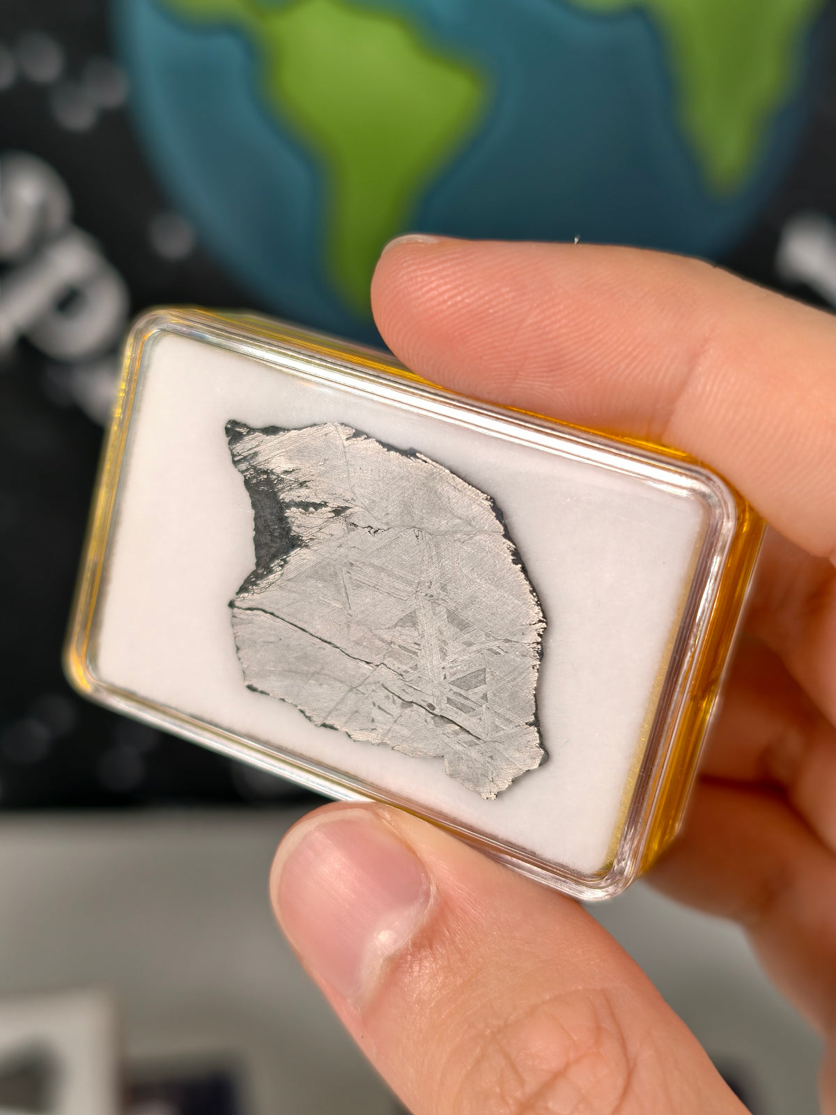 Muonionalusta Meteorit Scheibe 7,54g mit Zertifikat