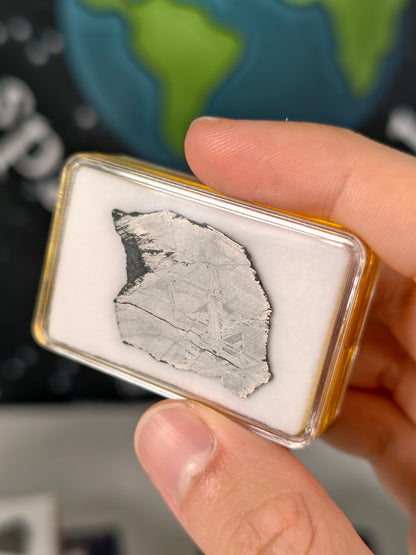 Muonionalusta Meteorit Scheibe 7,54g mit Zertifikat