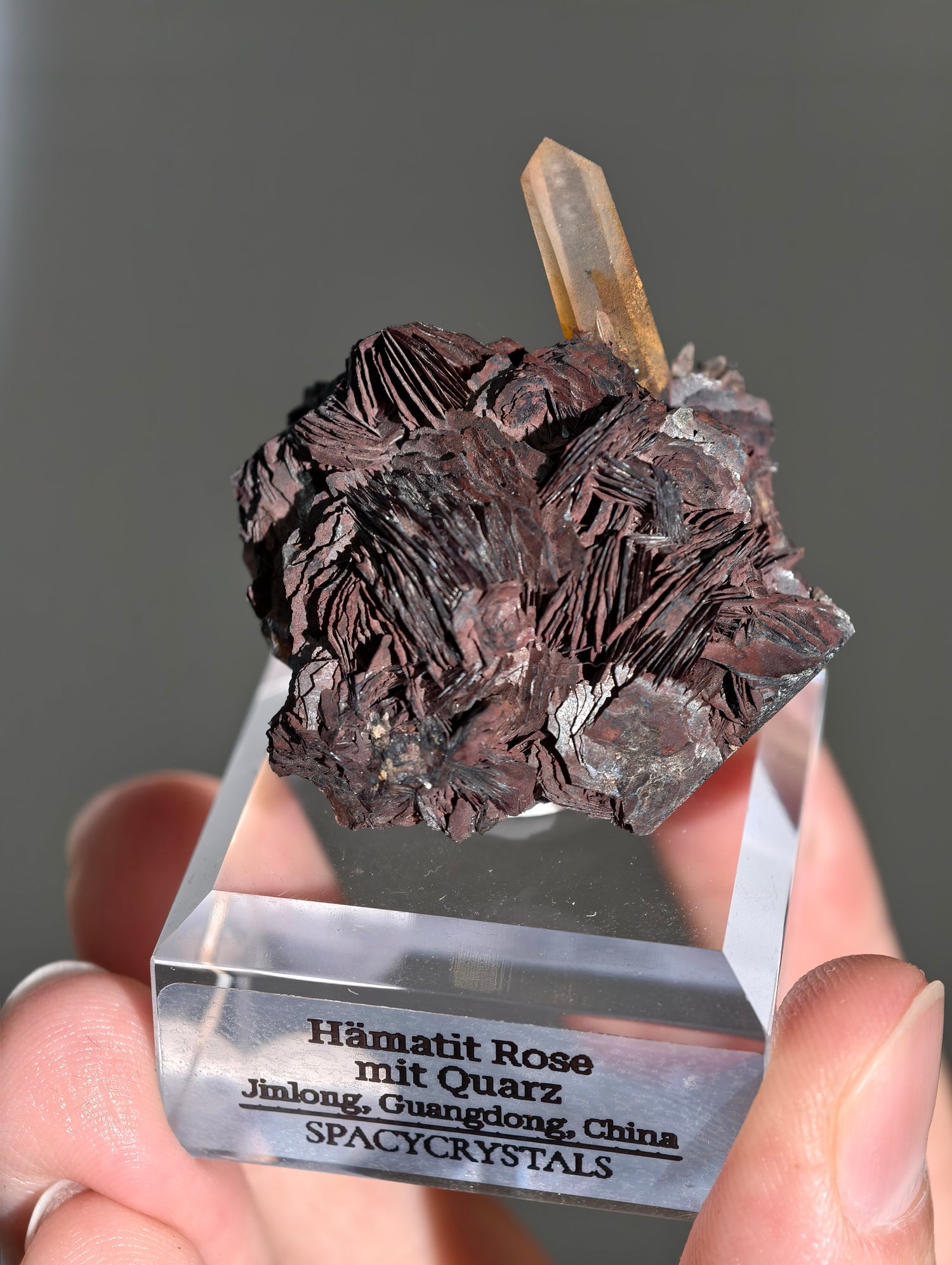 Rote Hämatit Rose mit Hämatitquarz aus Jinlong