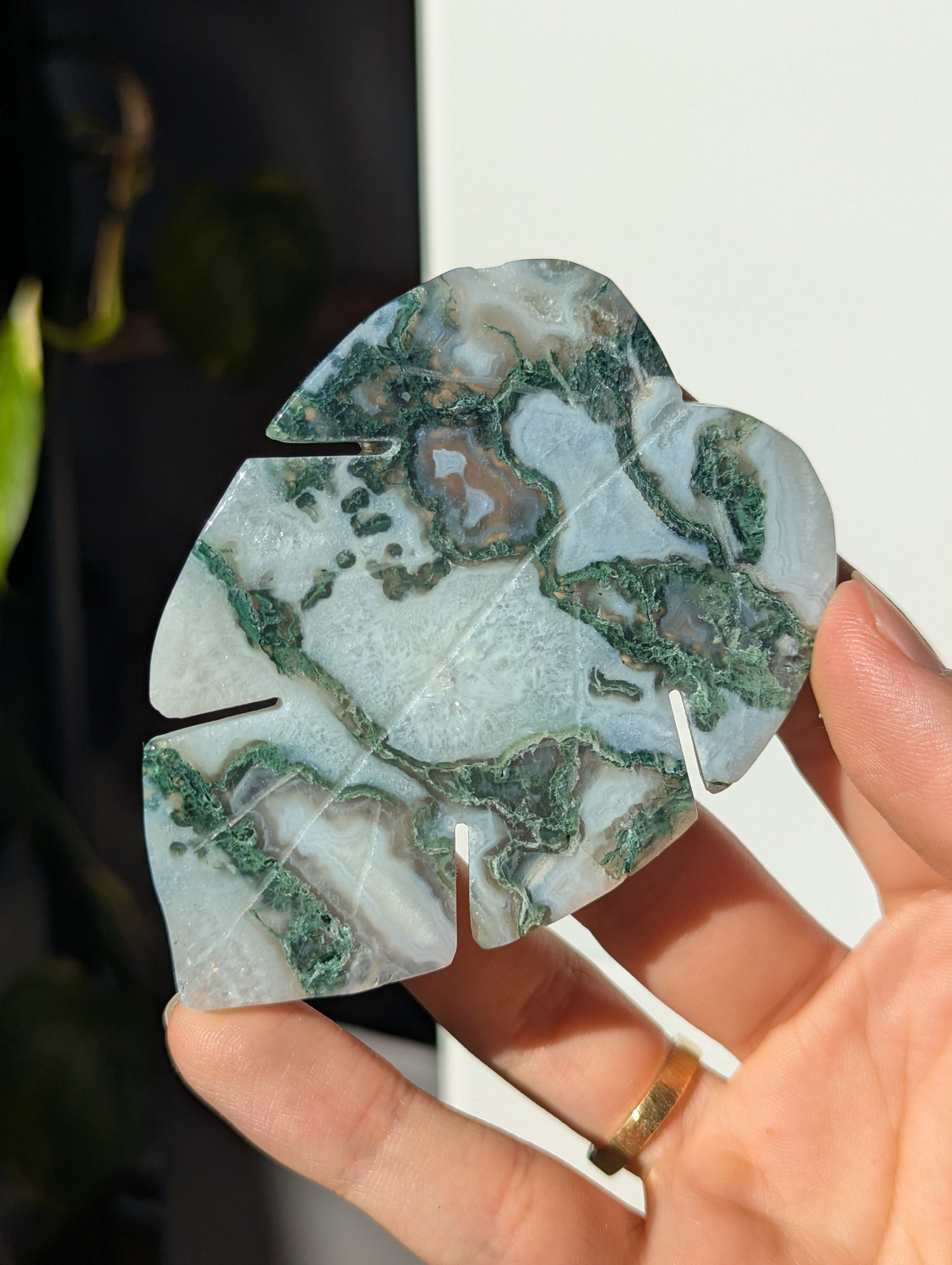 Moosachat Monstera Blatt (wähle dein eigenes)