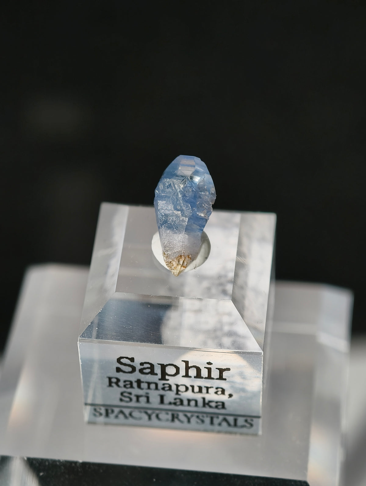 Blauer Saphir aus Sri Lanka auf Podest