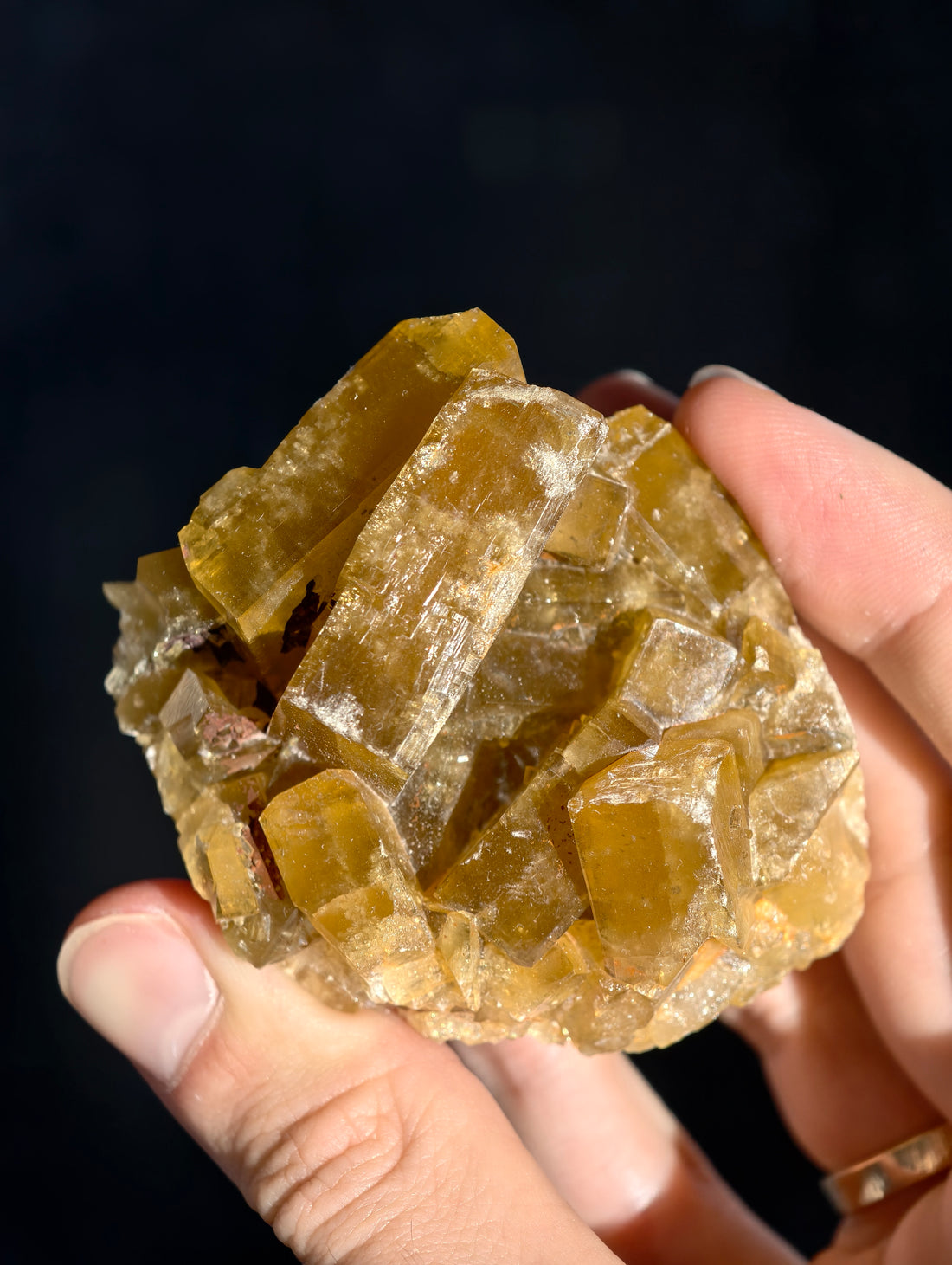 Goldgelber Barit 🍯 aus Jiangxi