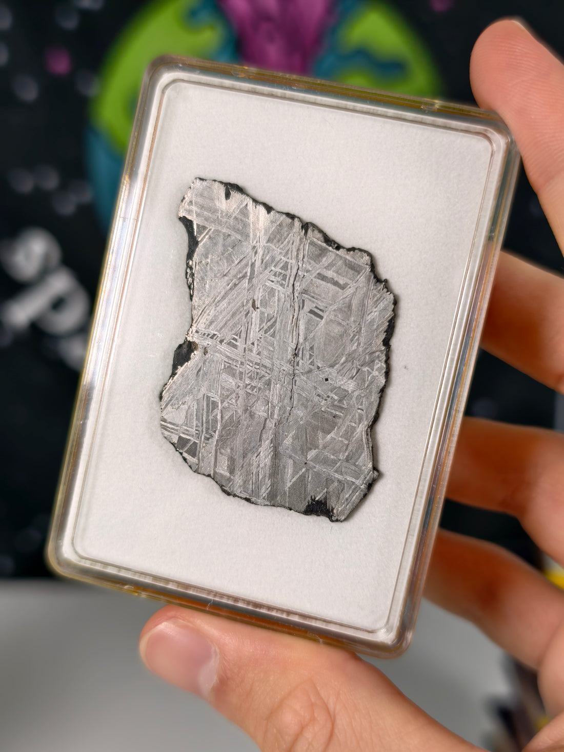 Muonionalusta Meteorit Scheibe 16,24g mit Zertifikat