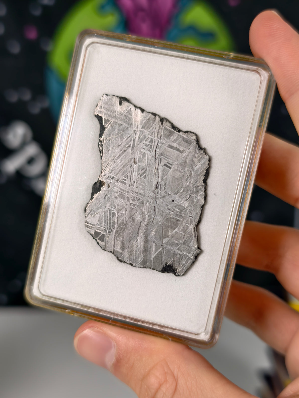 Muonionalusta Meteorit Scheibe 16,24g mit Zertifikat