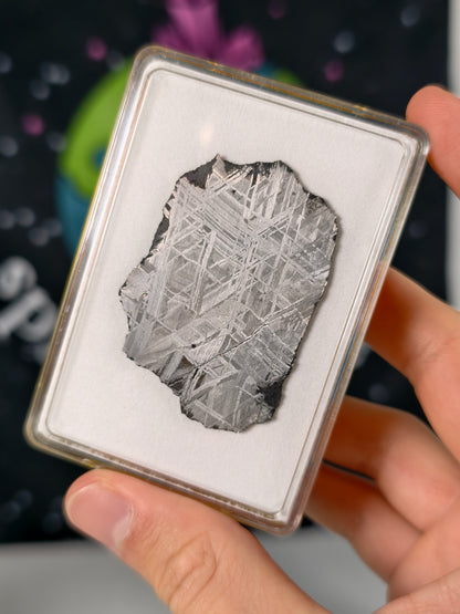 Muonionalusta Meteorit Scheibe 18,19g mit Zertifikat