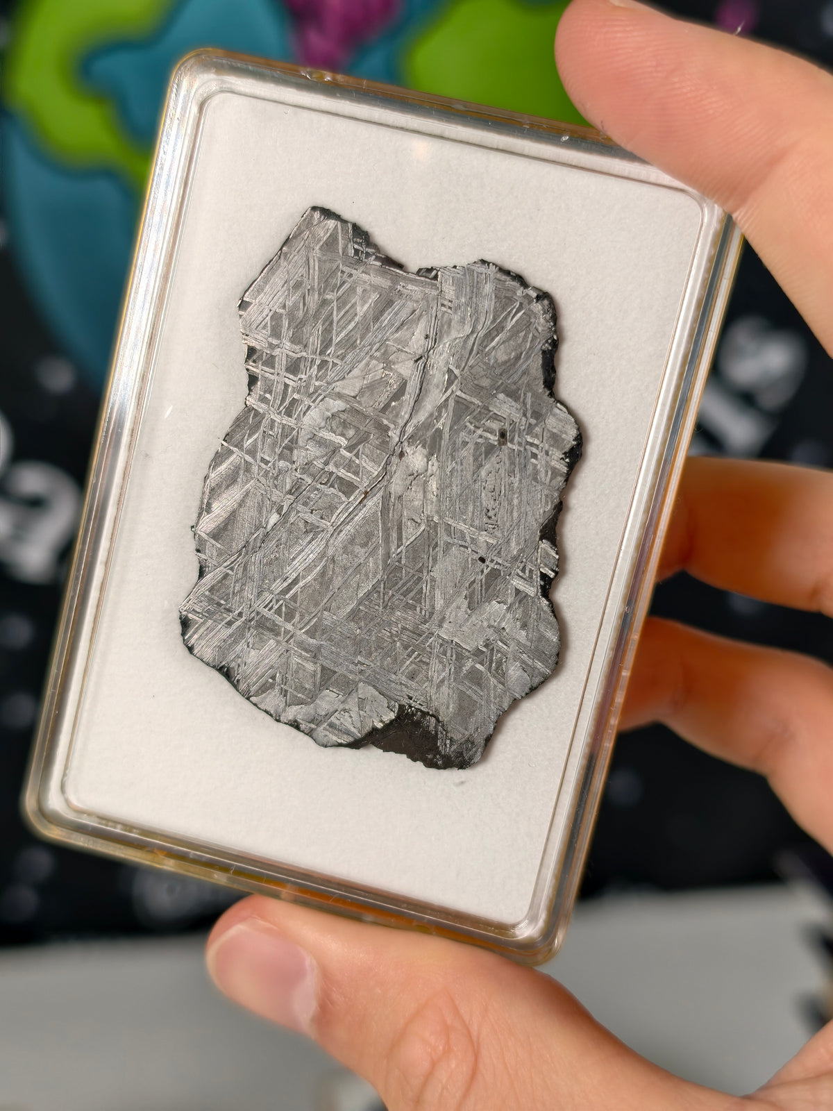 Muonionalusta Meteorit Scheibe 19,47 mit Zertifikat