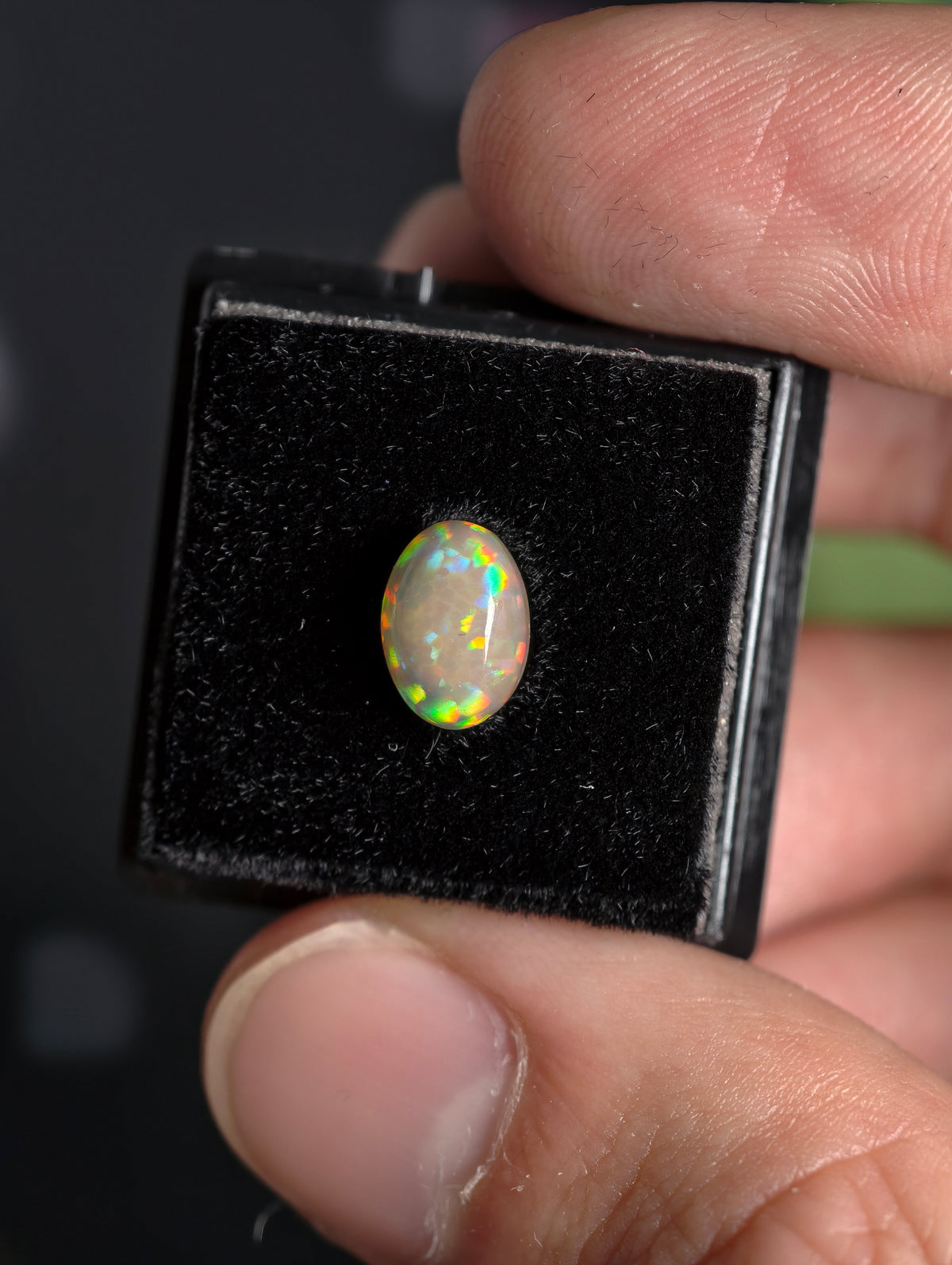 Welo Opal Cabochon in Dose (klein)