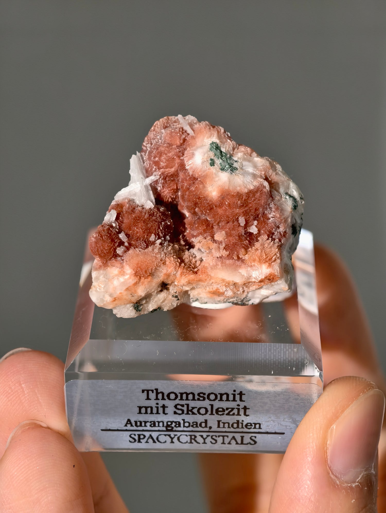 Thomsonit mit Skolezit aus Indien (Neufund)