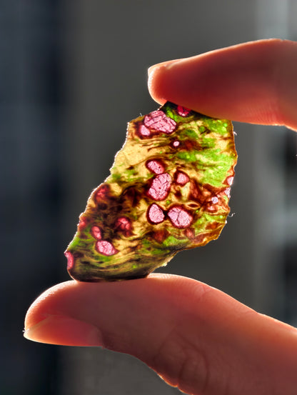 Pyrop, Chromdiopsid, Enstatit Scheibe aus Österreich