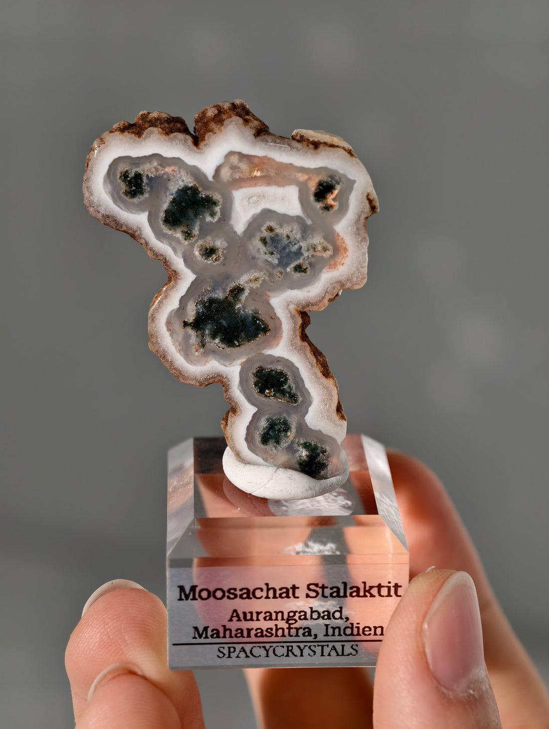 Moosachat Stalaktit Scheiben aus Indien (größer)