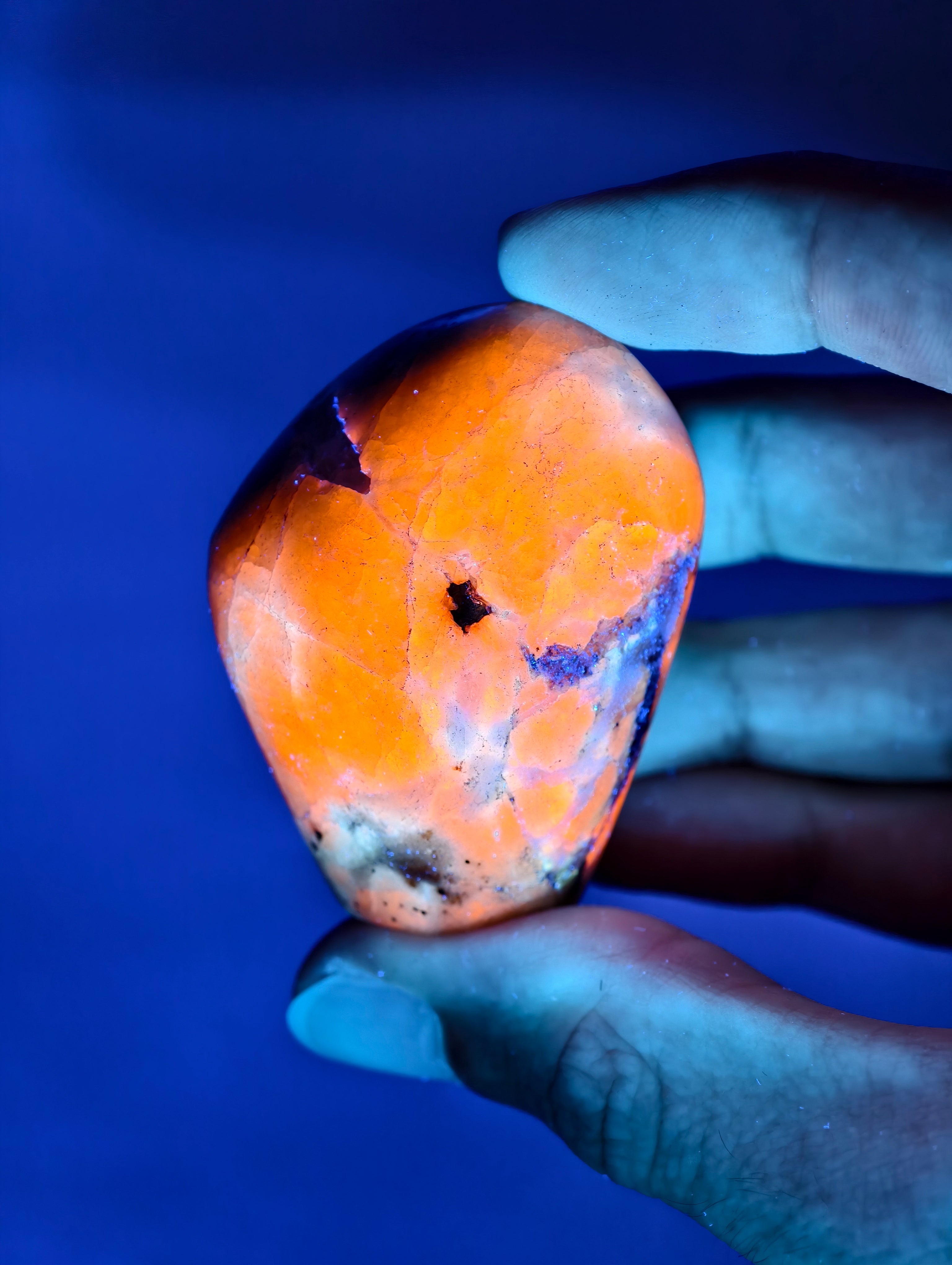 Seltene Haüyn Sodalith Mix Freiform (UV Aktiv!)