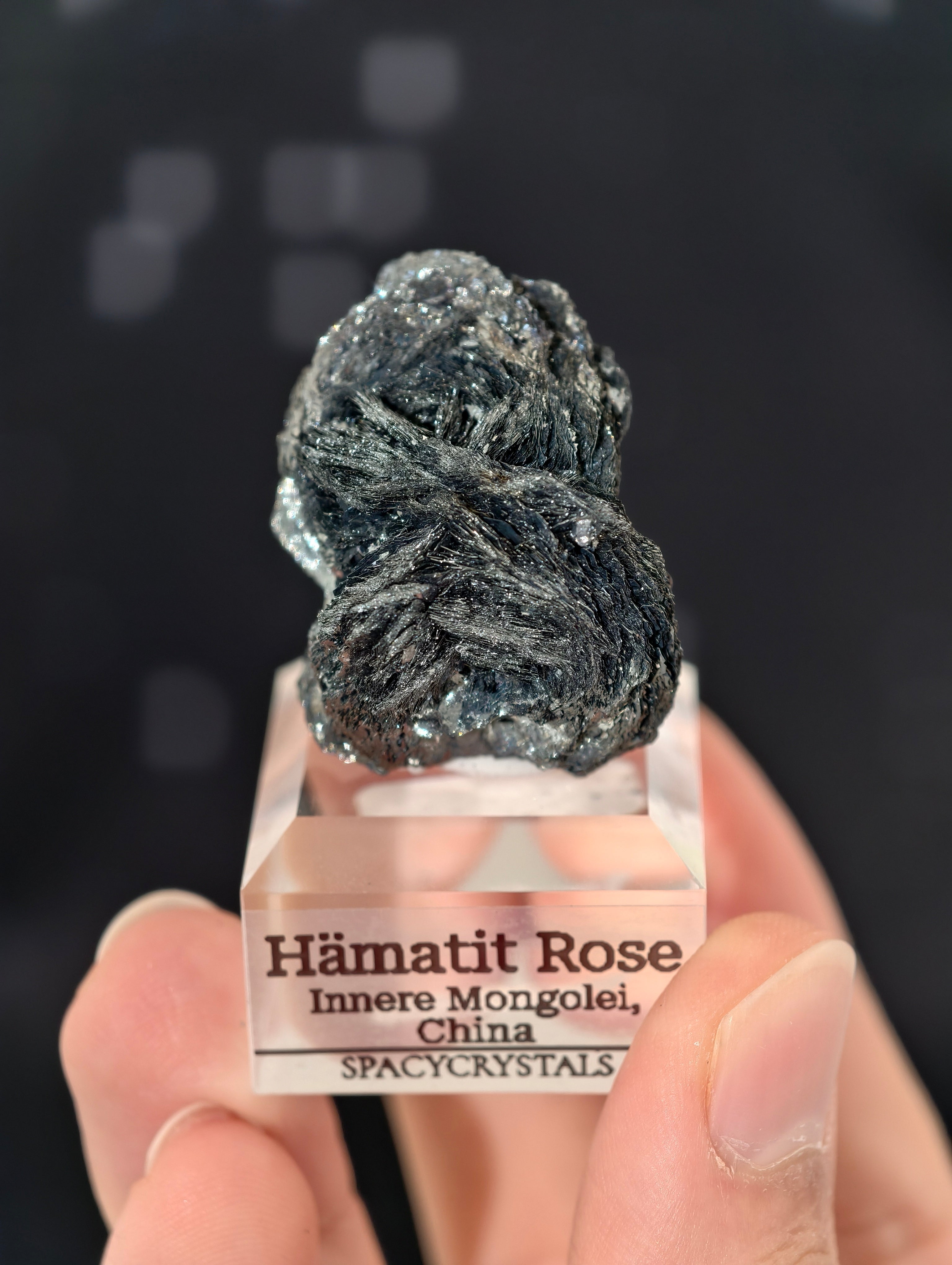 Schwarze Hämatit Rosen, Innere Mongolei, China 🌹