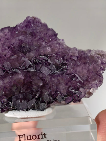 Lila Fluorit Würfel Cluster aus Xinyang