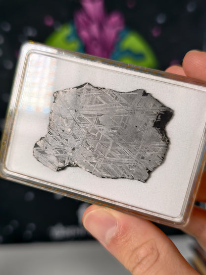 Muonionalusta Meteorit Scheibe 19,25g mit Zertifikat