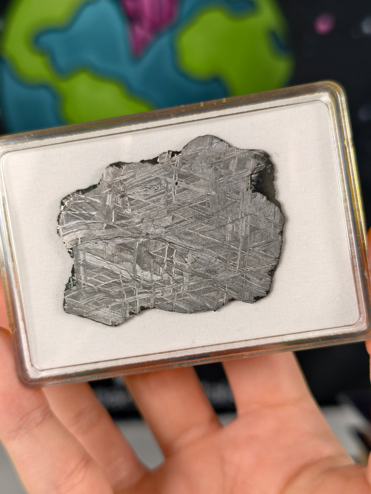 Muonionalusta Meteorit Scheibe 19,47 mit Zertifikat