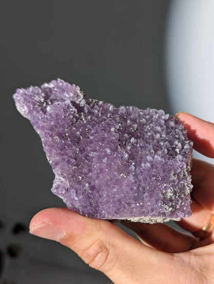 Pyrit auf Amethyst aus Bulgarien