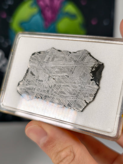 Muonionalusta Meteorit Scheibe 16,65g mit Zertifikat