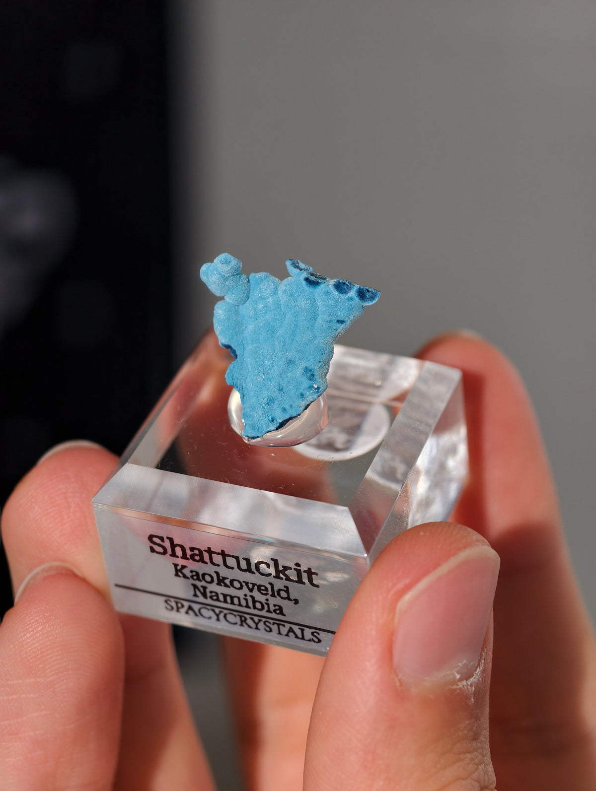 Botryoidaler blauer Samt Shattuckit auf Podest