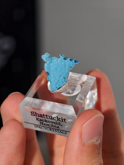 Botryoidaler blauer Samt Shattuckit auf Podest