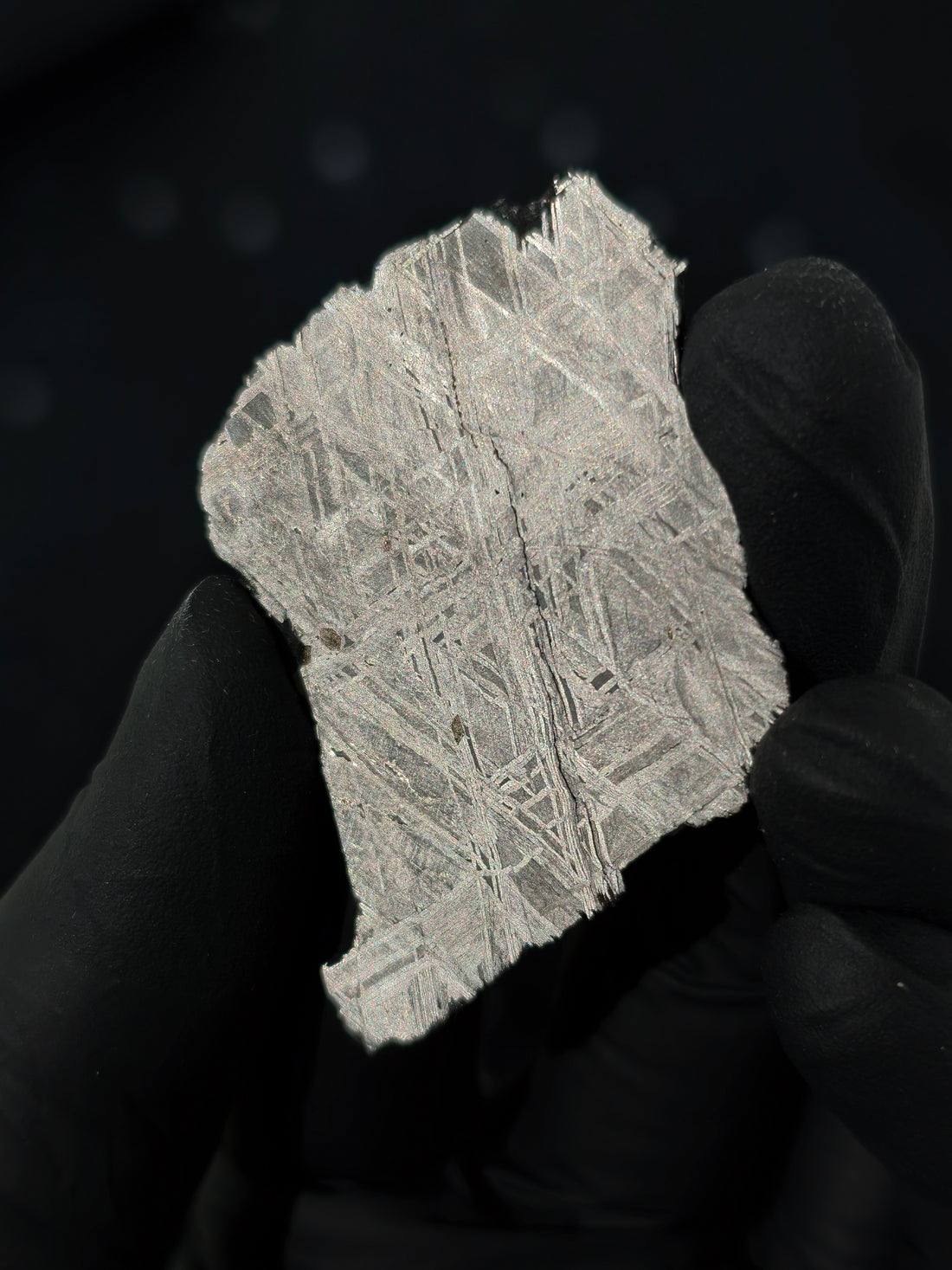 Muonionalusta Meteorit Scheibe 15,1g mit Zertifikat