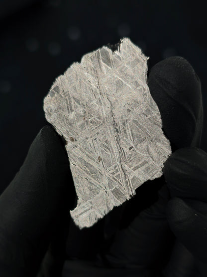 Muonionalusta Meteorit Scheibe 15,1g mit Zertifikat