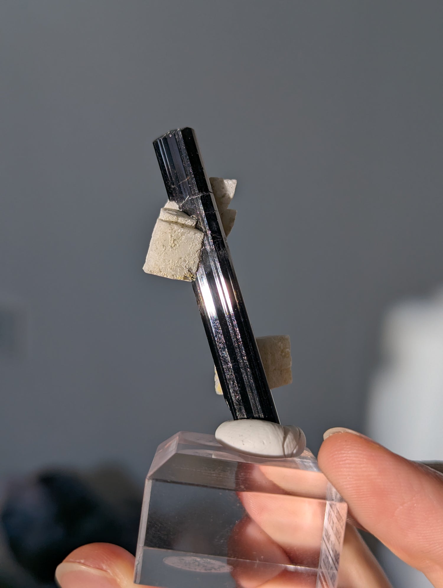 Schwarzer Turmalin (Schörl) mit Albit auf Podest