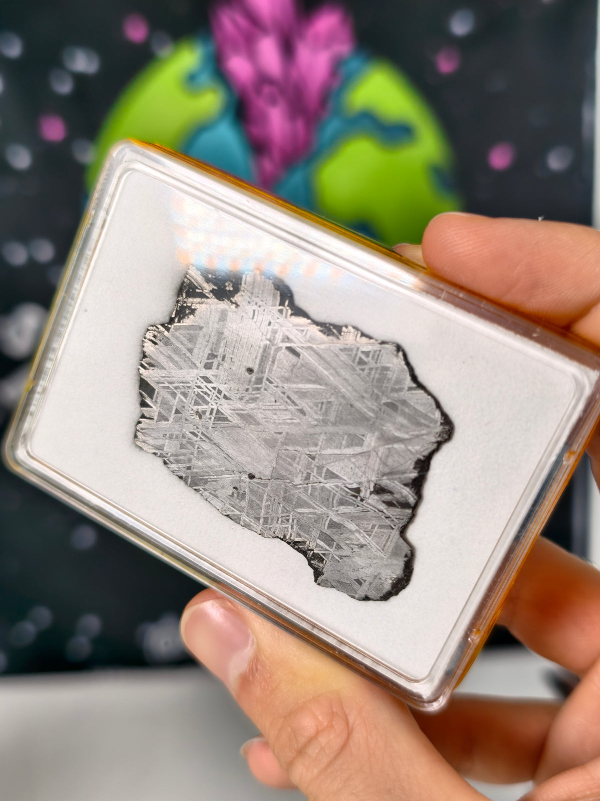 Muonionalusta Meteorit Scheibe 18,87g mit Zertifikat