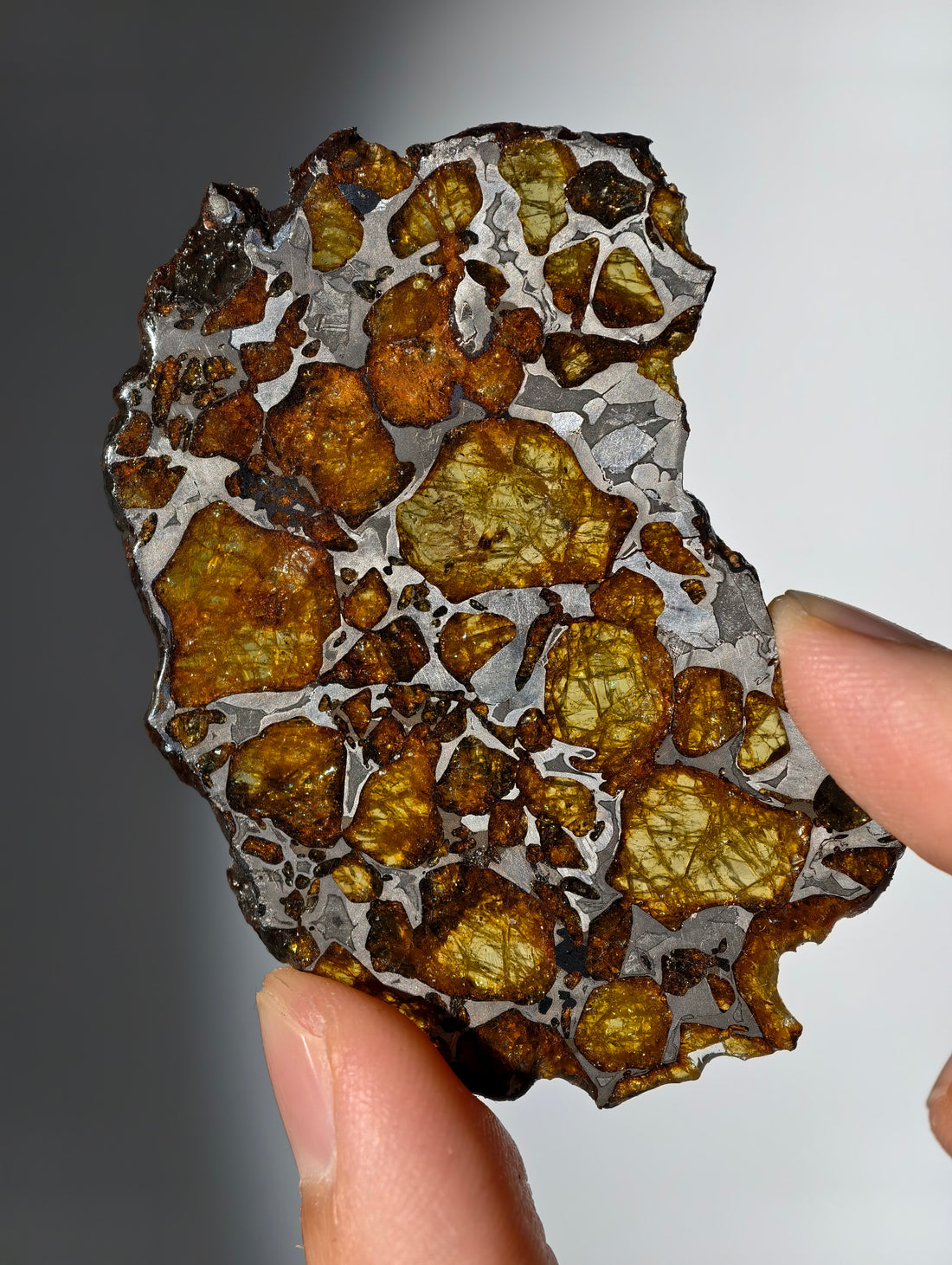 Imilac Pallasit Meteorit Scheibe 20.04g mit Zertifikat