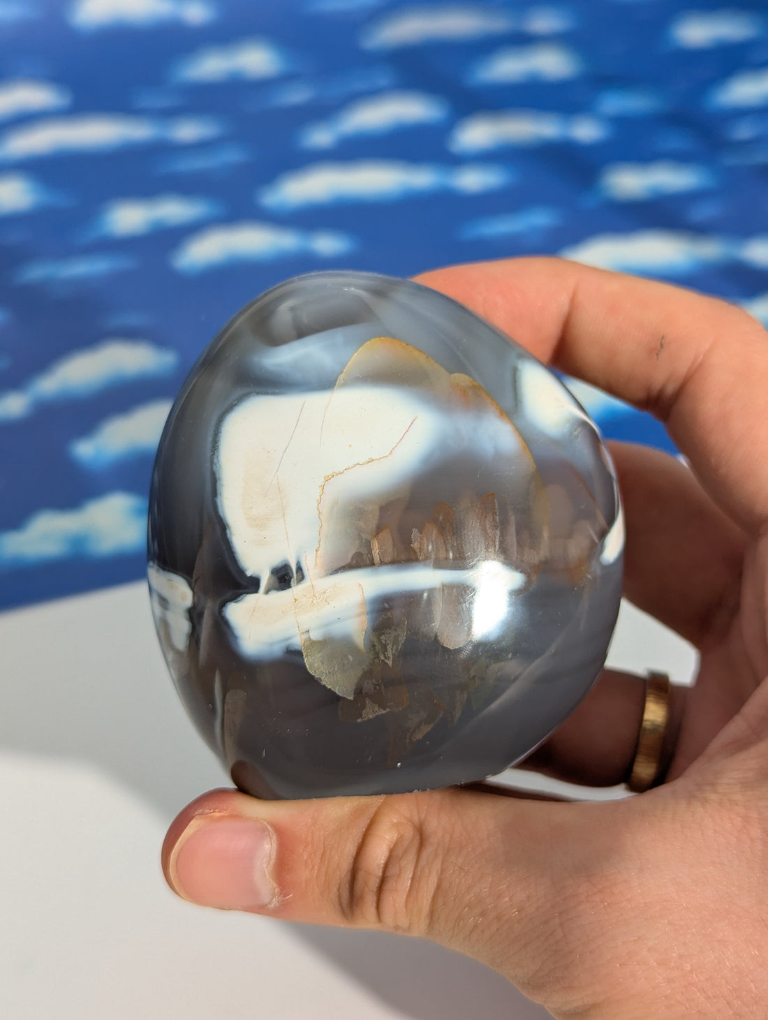 Orca Achat Freiform reduziert