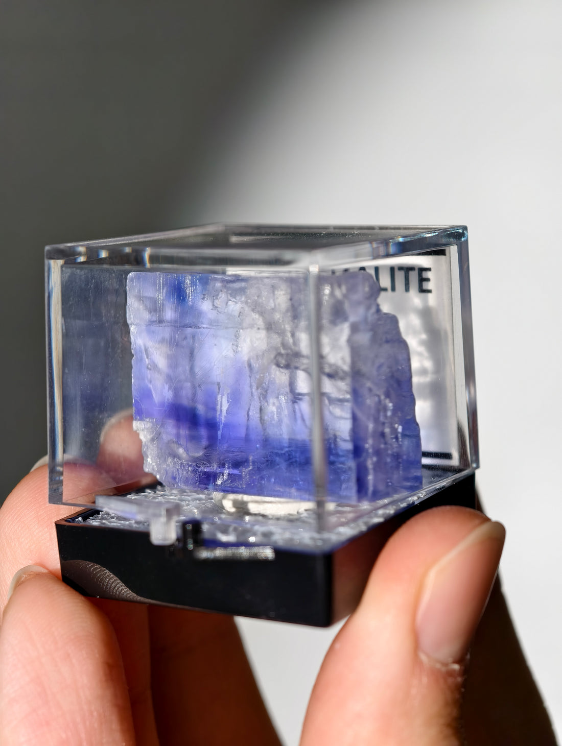 Blauer Halit aus Türkei in Box