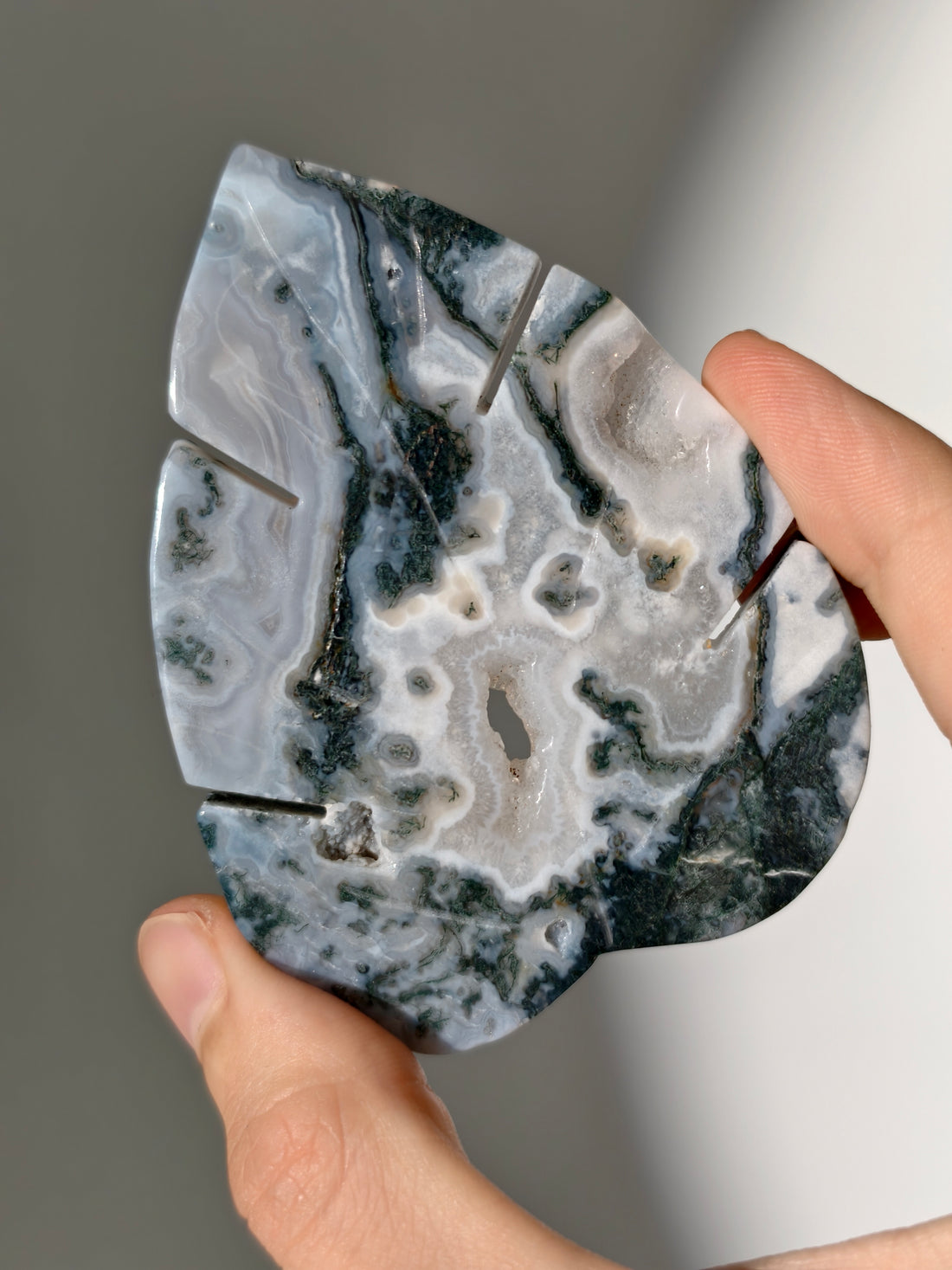 Moosachat Monstera Blatt