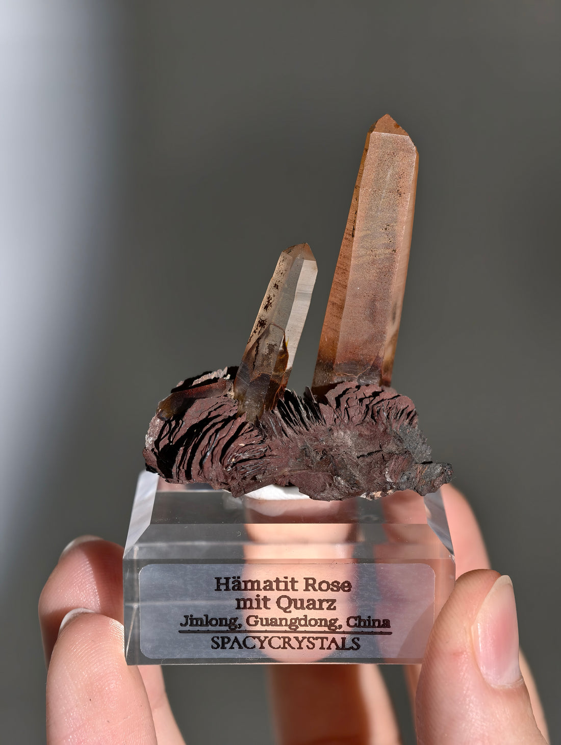 Rote Hämatit Rose mit Hämatitquarz aus Jinlong