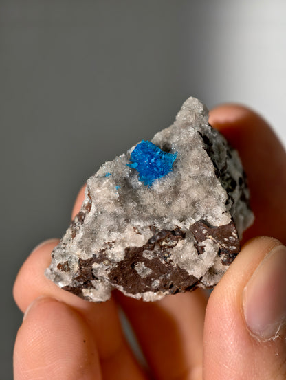 Cavansite aus Indien in Matrix
