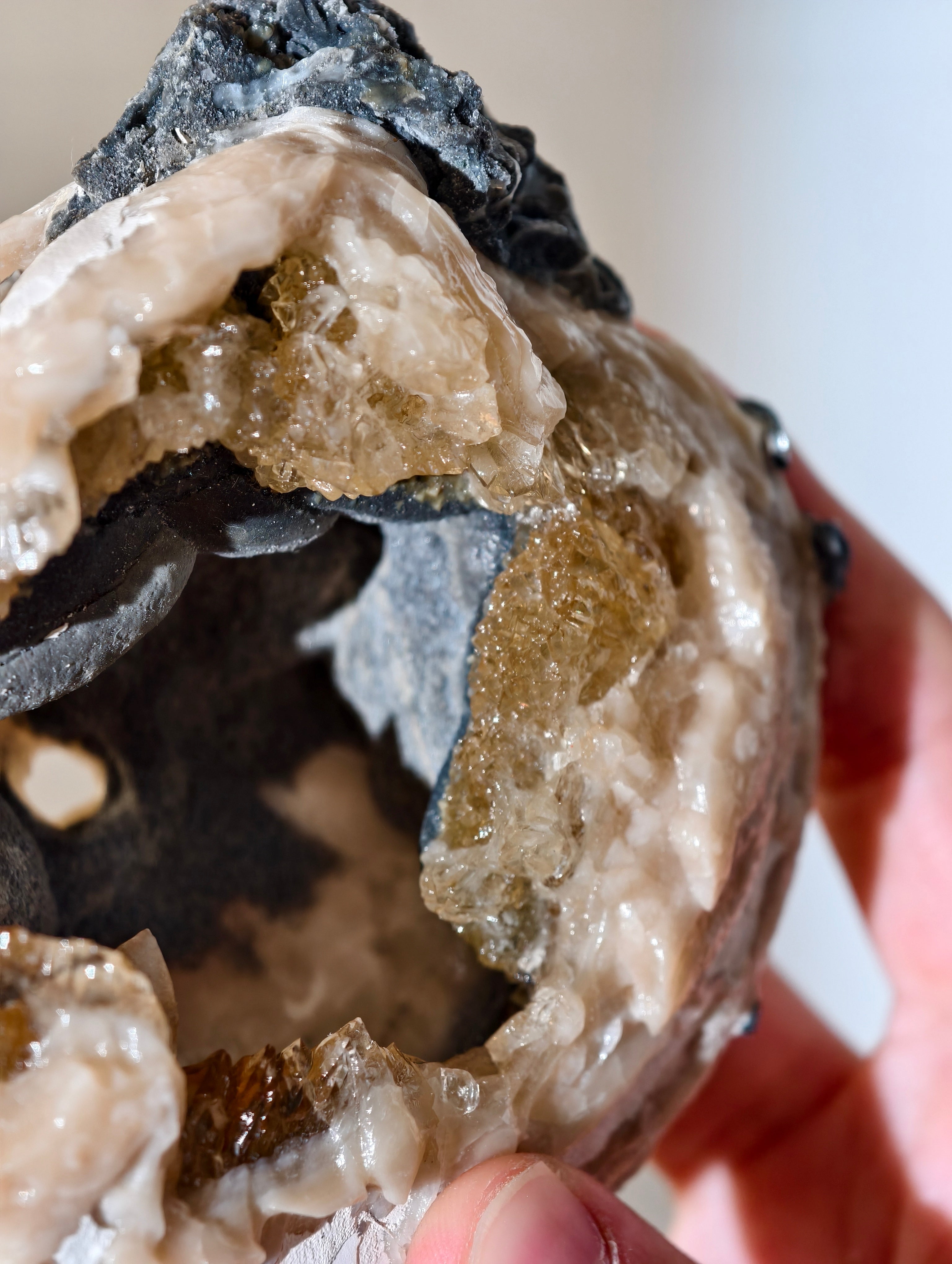 XL Kristallisierte Fossile Muschel mit Calcit aus Fort Drum, USA (UV Aktiv)