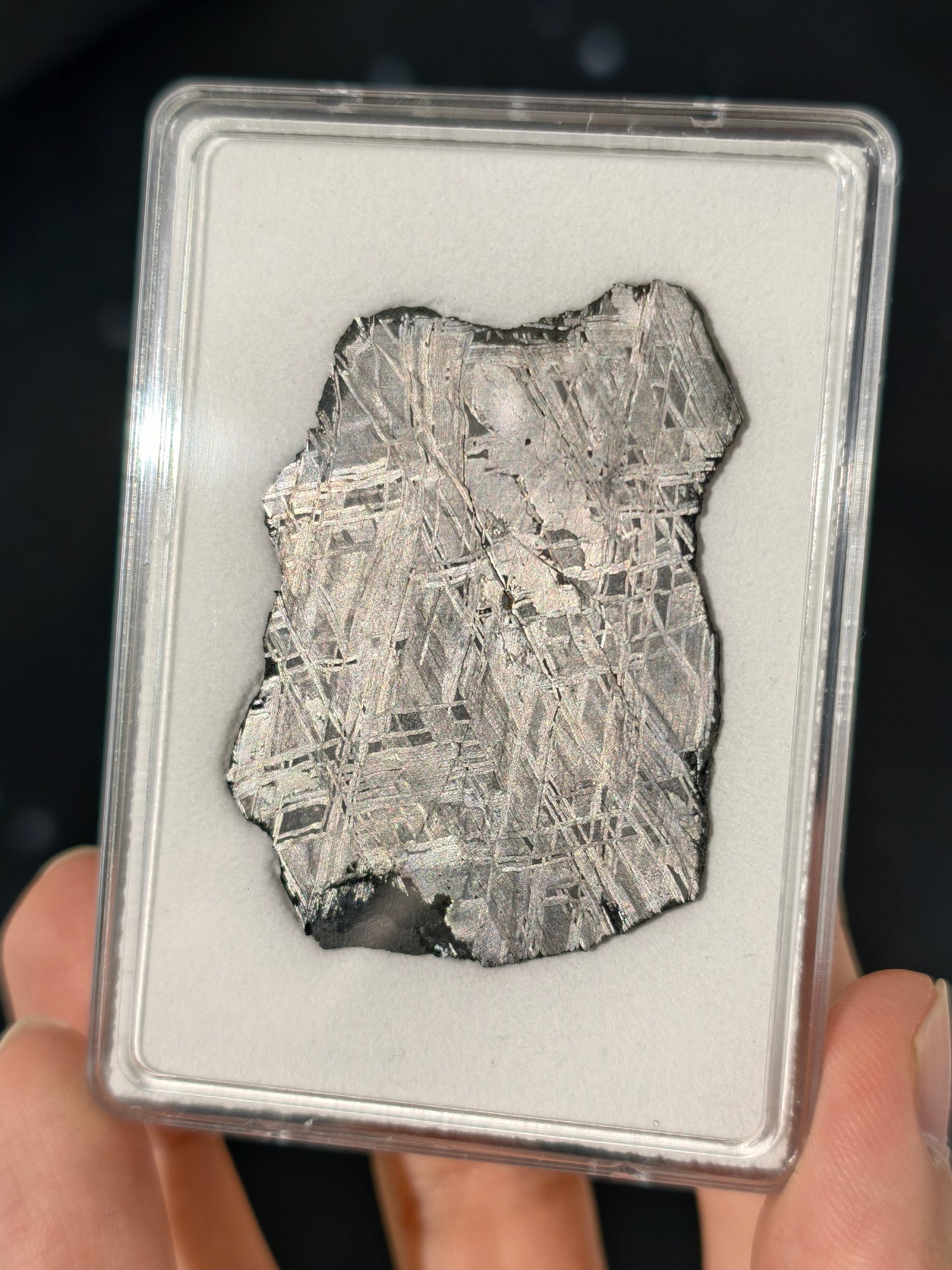 Muonionalusta Meteorit Scheibe 19,7g mit Zertifikat